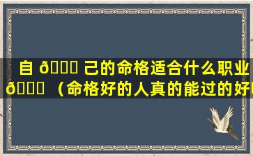 自 🐈 己的命格适合什么职业 🍀 （命格好的人真的能过的好吗）